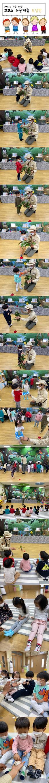 2021 도담반 고고스 동물체험